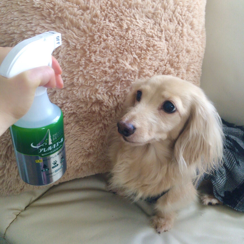 Sarhto on LIPS 「室内のダニ由来・花粉由来・犬猫由来のアレル物質に直接はたらきア..」(4枚目)