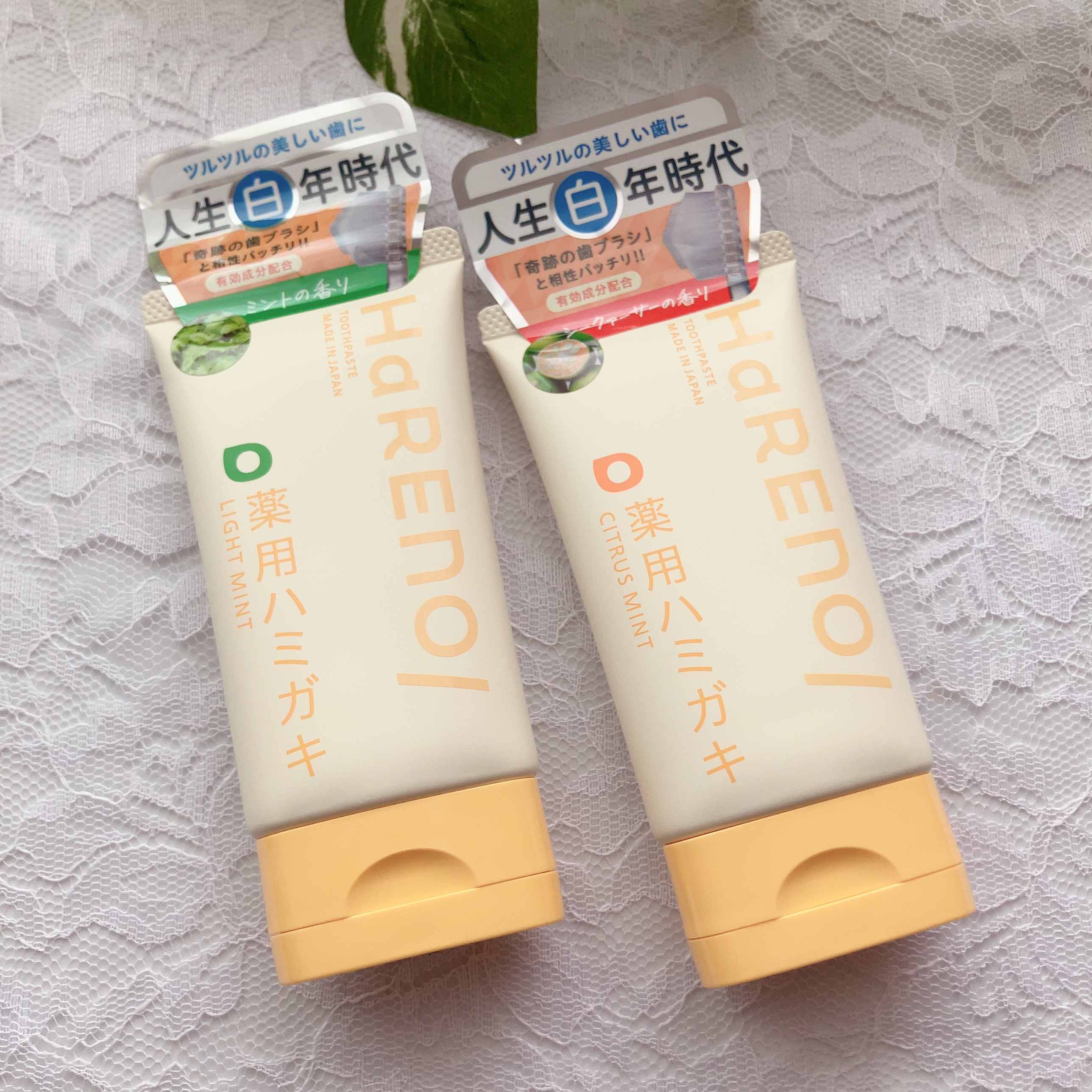 HaRENO 奇跡の歯ブラシ クリアブラック(ふつう)/HaRENO/歯ブラシを使ったクチコミ（1枚目）