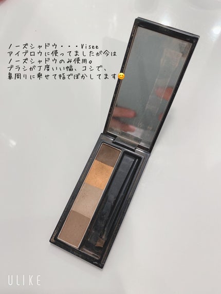 リシェ カラーリング アイブロウパウダー/Visée/パウダーアイブロウを使ったクチコミ(7枚目)