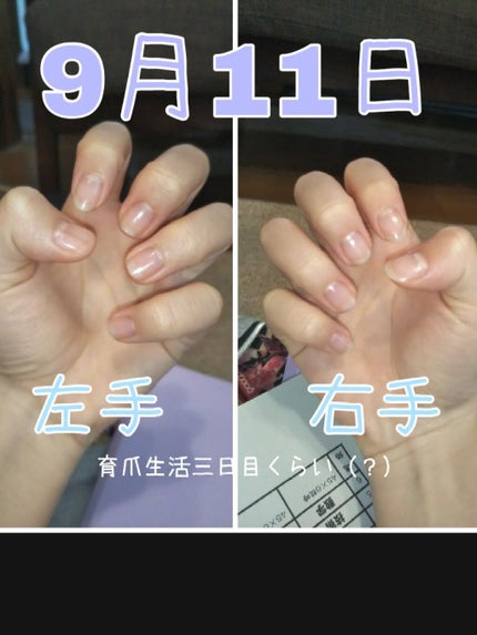 エテュセ クイックケアコート/ettusais/ネイルオイル・トリートメントを使ったクチコミ(2枚目)
