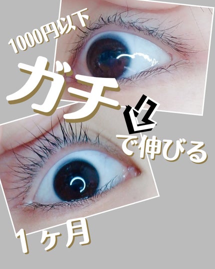 ラッシュジェリードロップ EX/MAJOLICA MAJORCA/まつげ美容液を使ったクチコミ(2枚目)