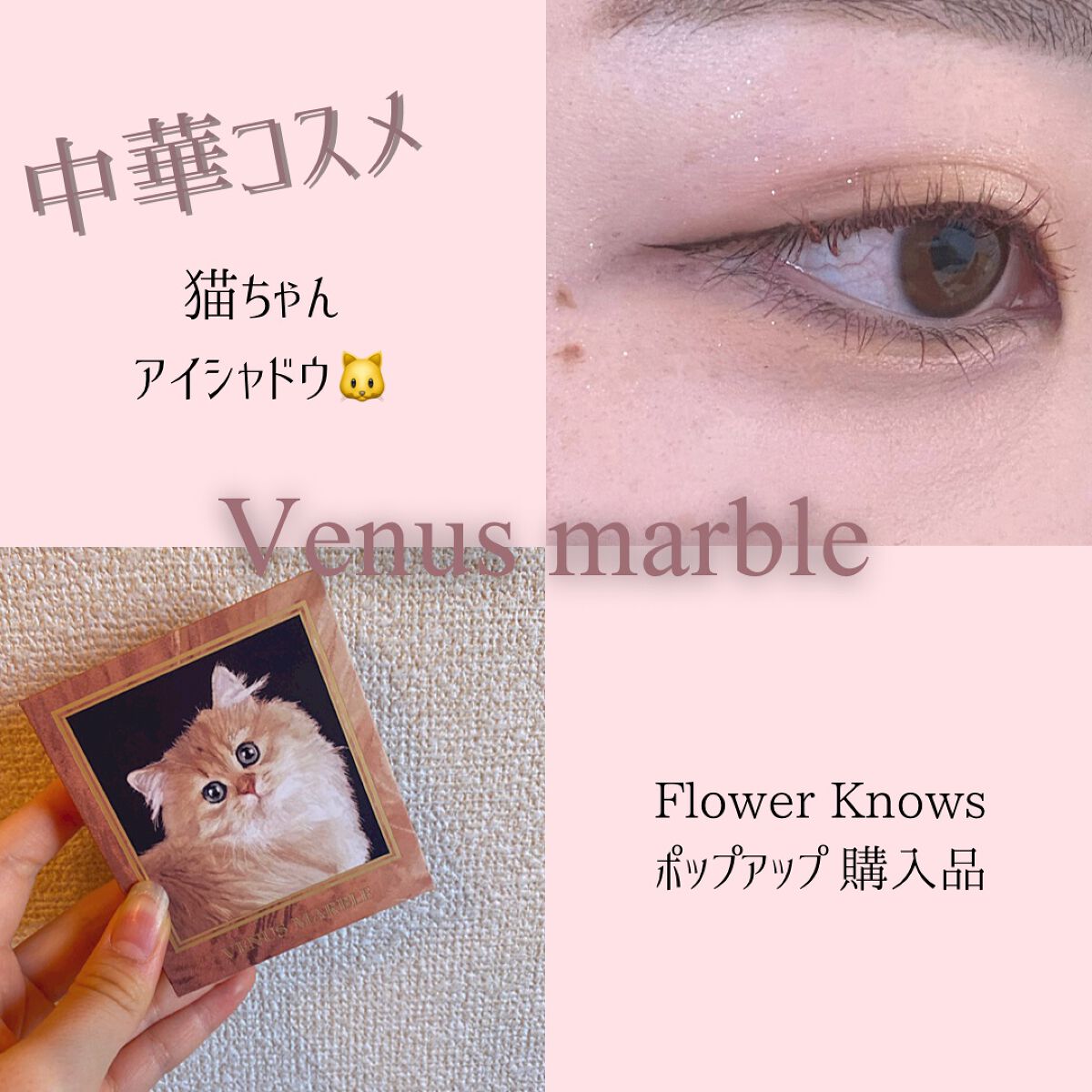 Venus Marble アイシャドウキャットシリーズ/Venus Marble/アイシャドウパレットを使ったクチコミ（1枚目）