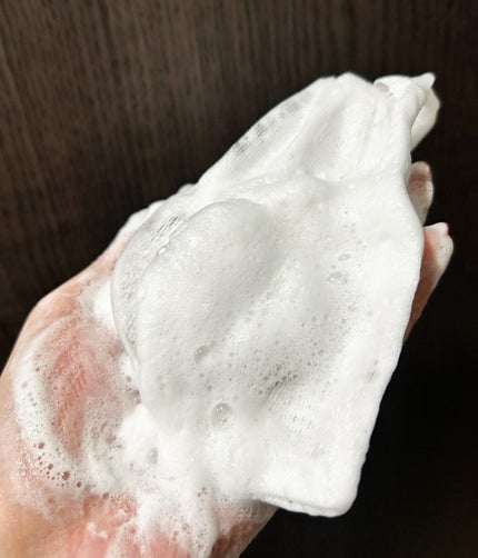 を使ったクチコミ(2枚目)