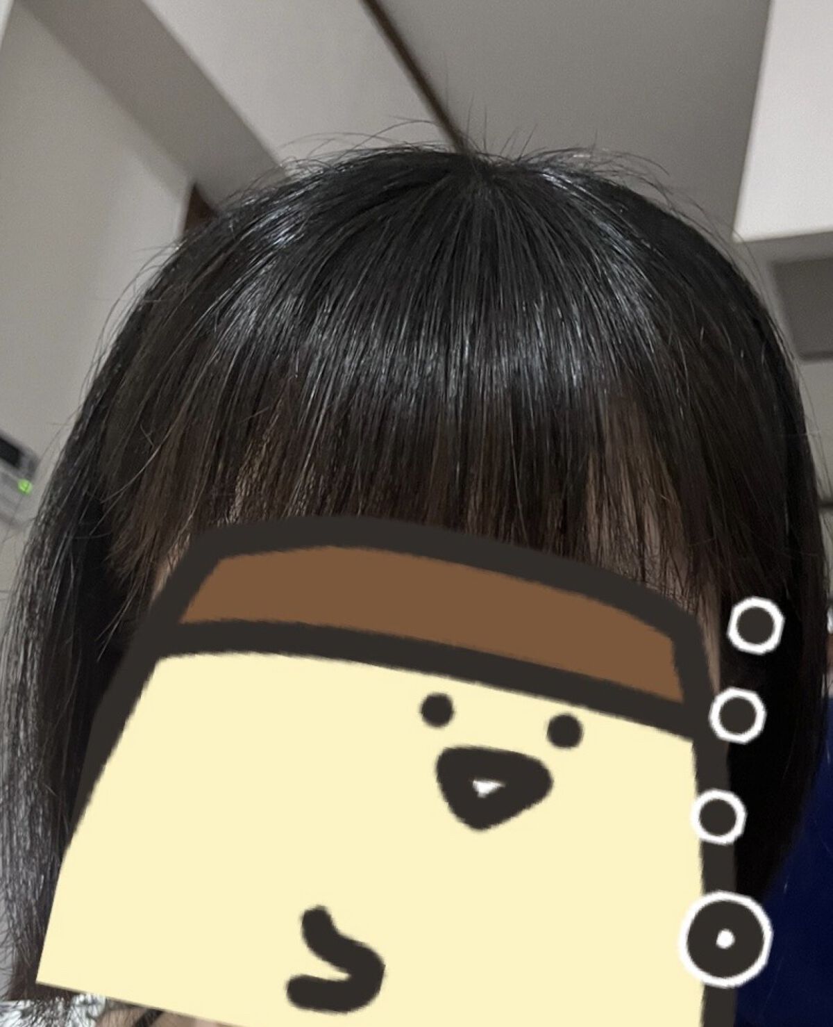 アイシャドウブラシ 熊野筆/CipiCipi/メイクブラシを使ったクチコミ（2枚目）