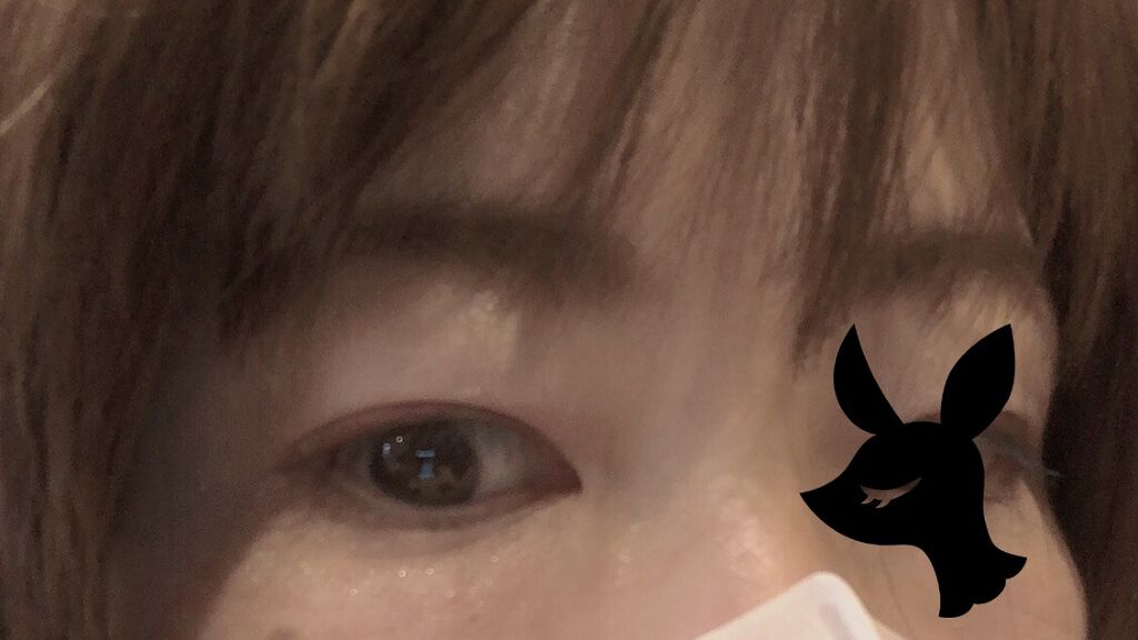 太芯アイブロウ/CEZANNE/アイブロウペンシルを使ったクチコミ（3枚目）