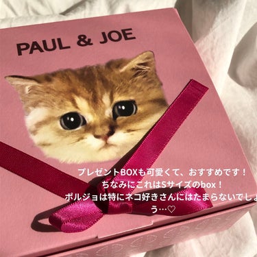 リップスティック ケース N 01/PAUL & JOE BEAUTE/口紅の画像