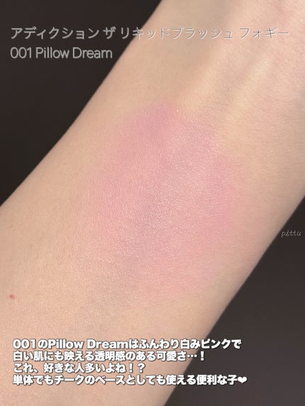 アディクション ザ リキッドブラッシュ フォギー/ADDICTION/リキッドチークを使ったクチコミ(4枚目)