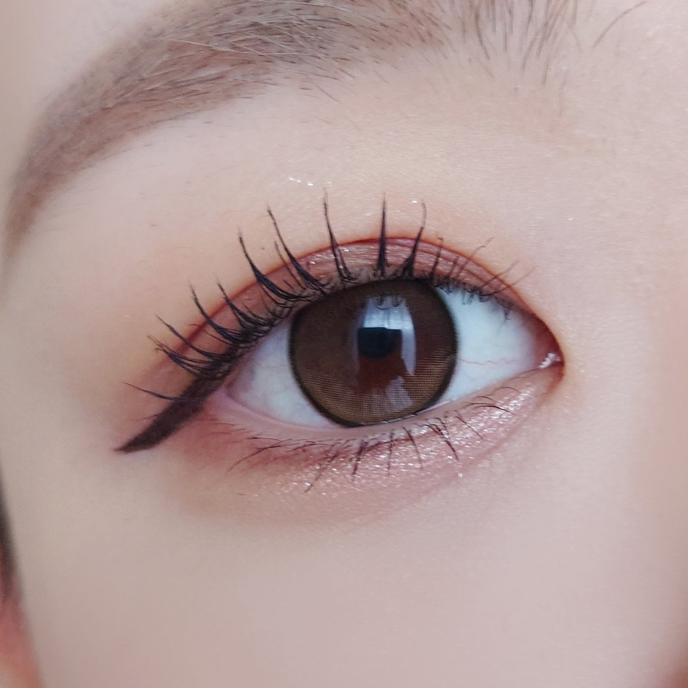 MOLAK 1day/MOLAK/ワンデー(1DAY)カラコンを使ったクチコミ(4枚目)