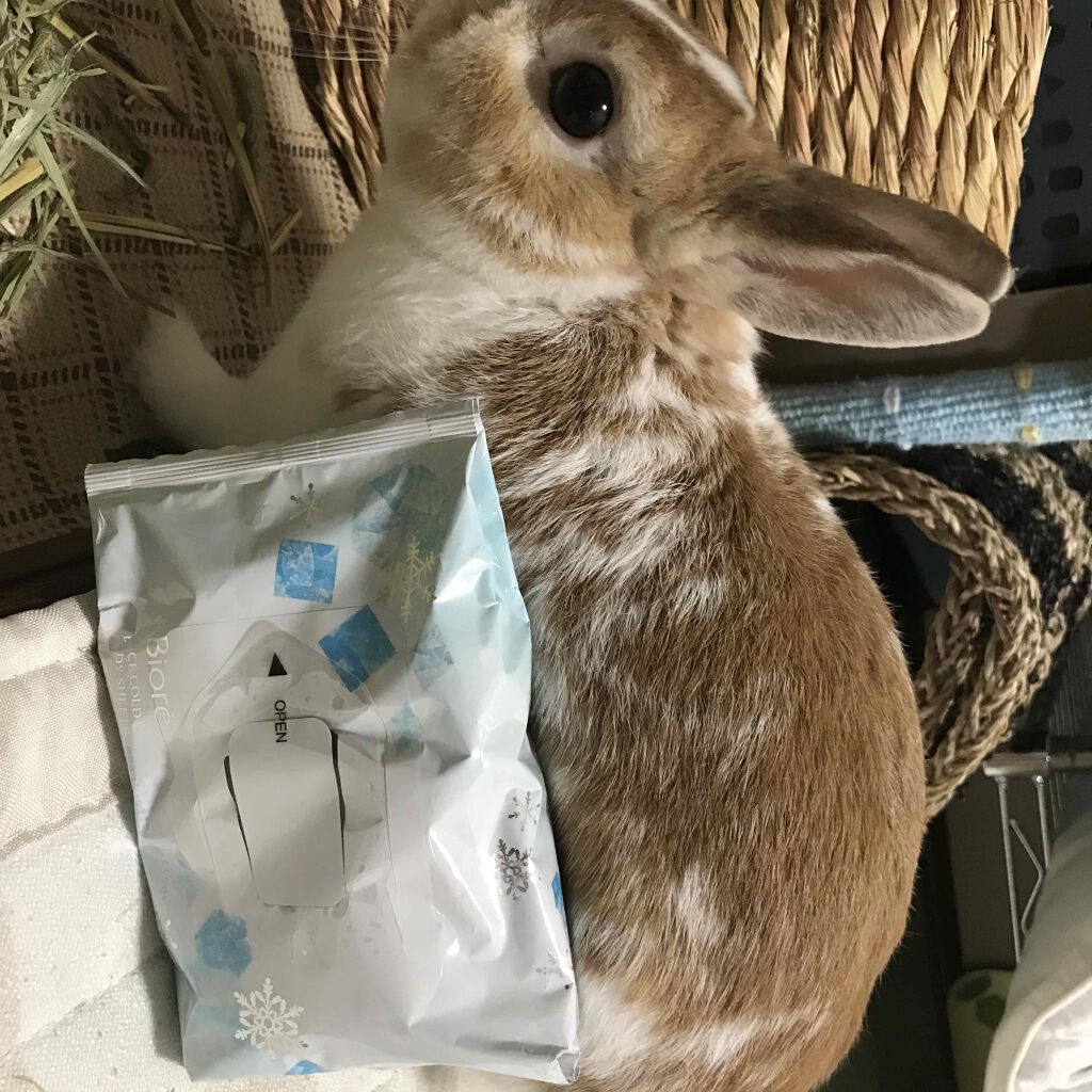 冷シート 無香性/ビオレ/ボディシートを使ったクチコミ(1枚目)