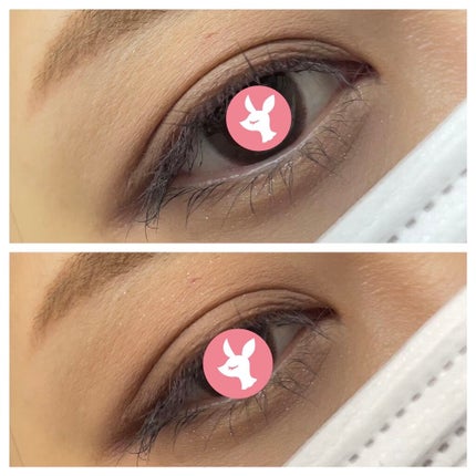 プレイカラーアイズ ダスティキャット/ETUDE/アイシャドウパレットを使ったクチコミ(5枚目)