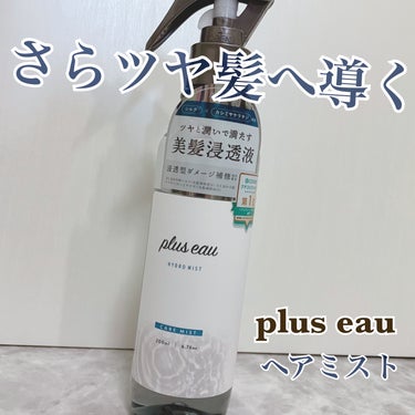 ハイドロミストN/plus eau/アウトバストリートメントを使ったクチコミ（1枚目）