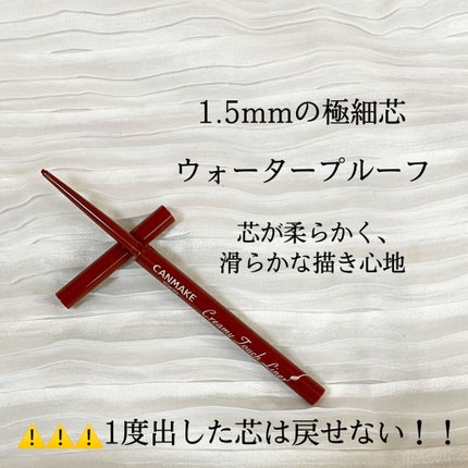クリーミータッチライナー/キャンメイク/ジェルアイライナーを使ったクチコミ(2枚目)