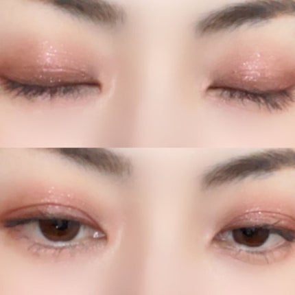 プロアイシャドウパレットセシル/CELEFIT/アイシャドウパレットを使ったクチコミ(3枚目)