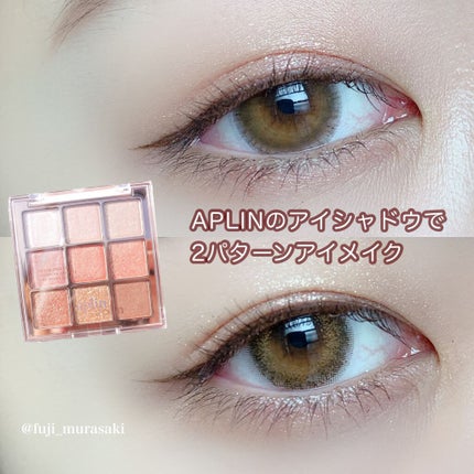 ワンピックアイシャドウパレット/APLIN/アイシャドウパレットを使ったクチコミ(1枚目)