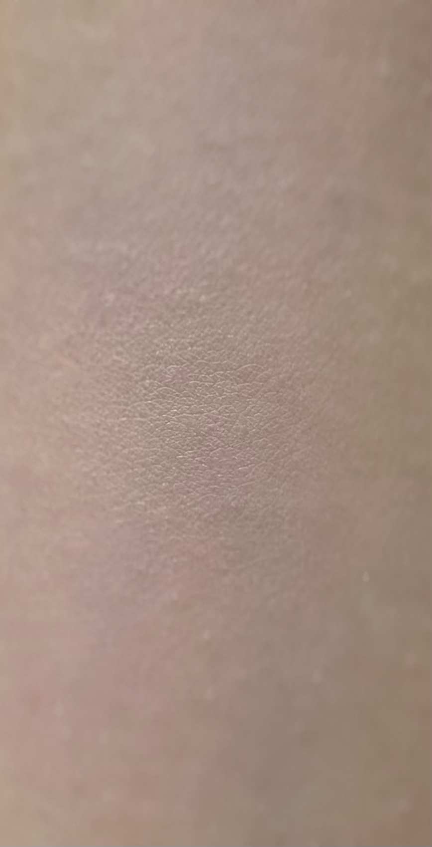 ラブシルクブラッシュ/Laka/パウダーチークを使ったクチコミ（2枚目）