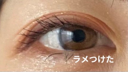 フーミー アイシャドウパレット/WHOMEE/アイシャドウパレットを使ったクチコミ(6枚目)