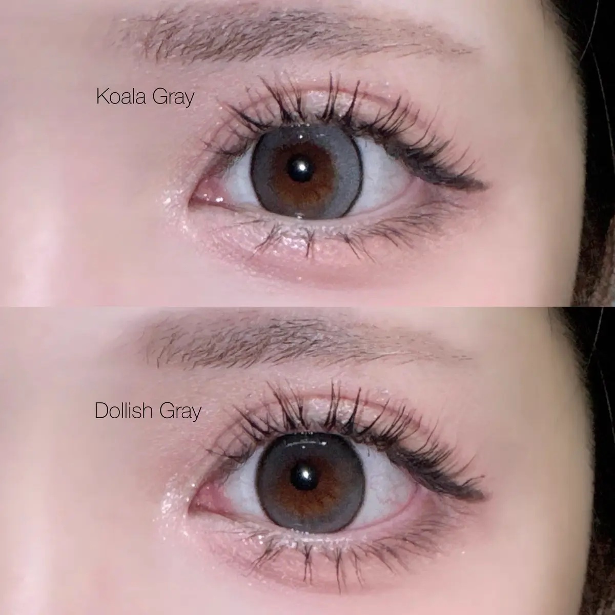 MOLAK 1day/MOLAK/ワンデー（１DAY）カラコンを使ったクチコミ（2枚目）