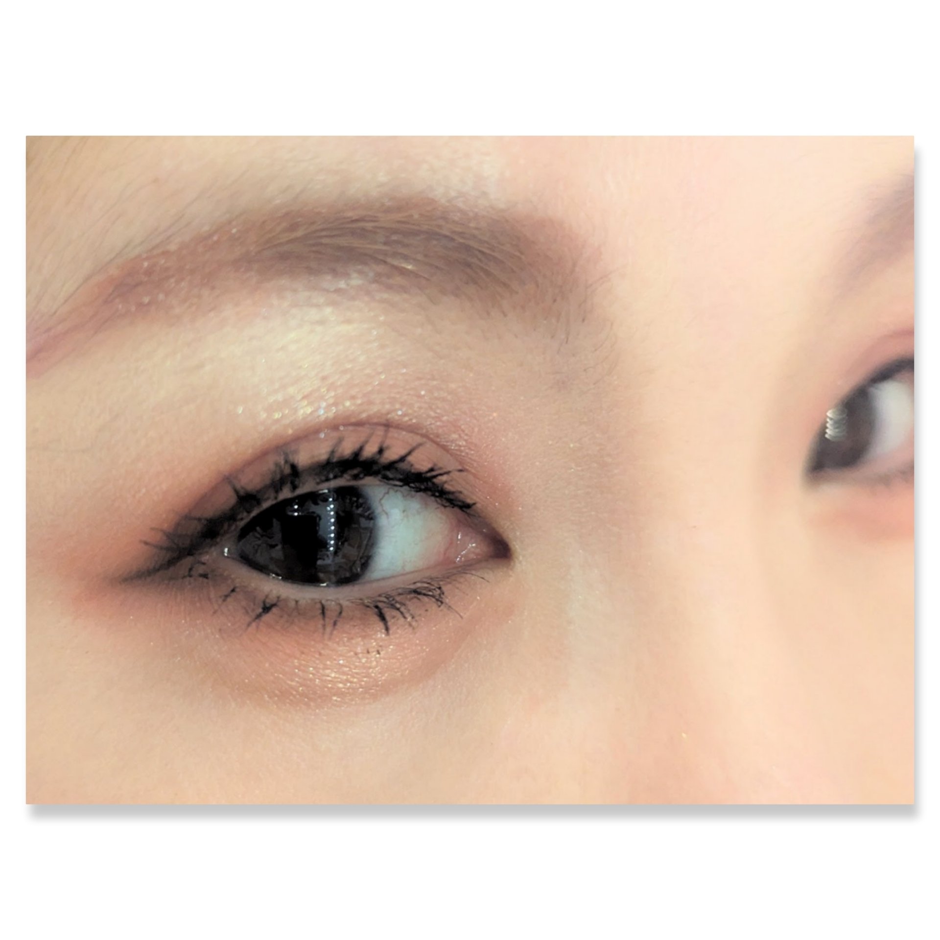 ベターザンパレット/rom&nd/アイシャドウパレットを使ったクチコミ（2枚目）