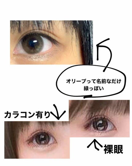 1DAY Refrear elebelle/Refrear/ワンデー(1DAY)カラコンを使ったクチコミ(2枚目)