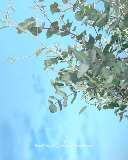 イプサ セラム アクティブ/IPSA/美容液を使ったクチコミ(5枚目)