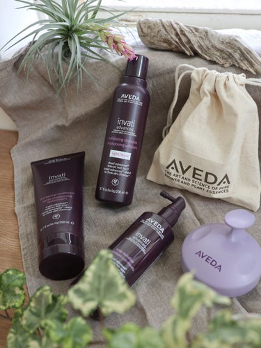 インヴァティ アドバンス シャンプー／ヘアデンス コンディショナー/AVEDA/シャンプー・コンディショナーを使ったクチコミ（1枚目）