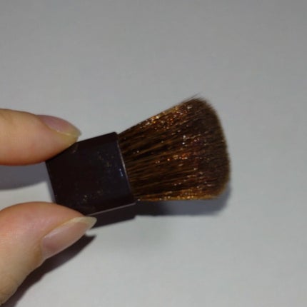 パールグロウニュアンサー/CEZANNE/パウダーハイライトを使ったクチコミ(6枚目)