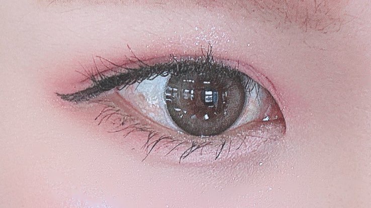 エクスプローラ12色 動物アイシャドウパレット/PERFECT DIARY/アイシャドウパレットを使ったクチコミ（1枚目）