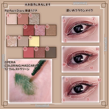 エクスプローラ12色 動物アイシャドウパレット/PERFECT DIARY/アイシャドウパレットを使ったクチコミ(2枚目)