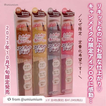 フローレスブロウリキッド/キャンメイク/リキッドアイブロウを使ったクチコミ(2枚目)