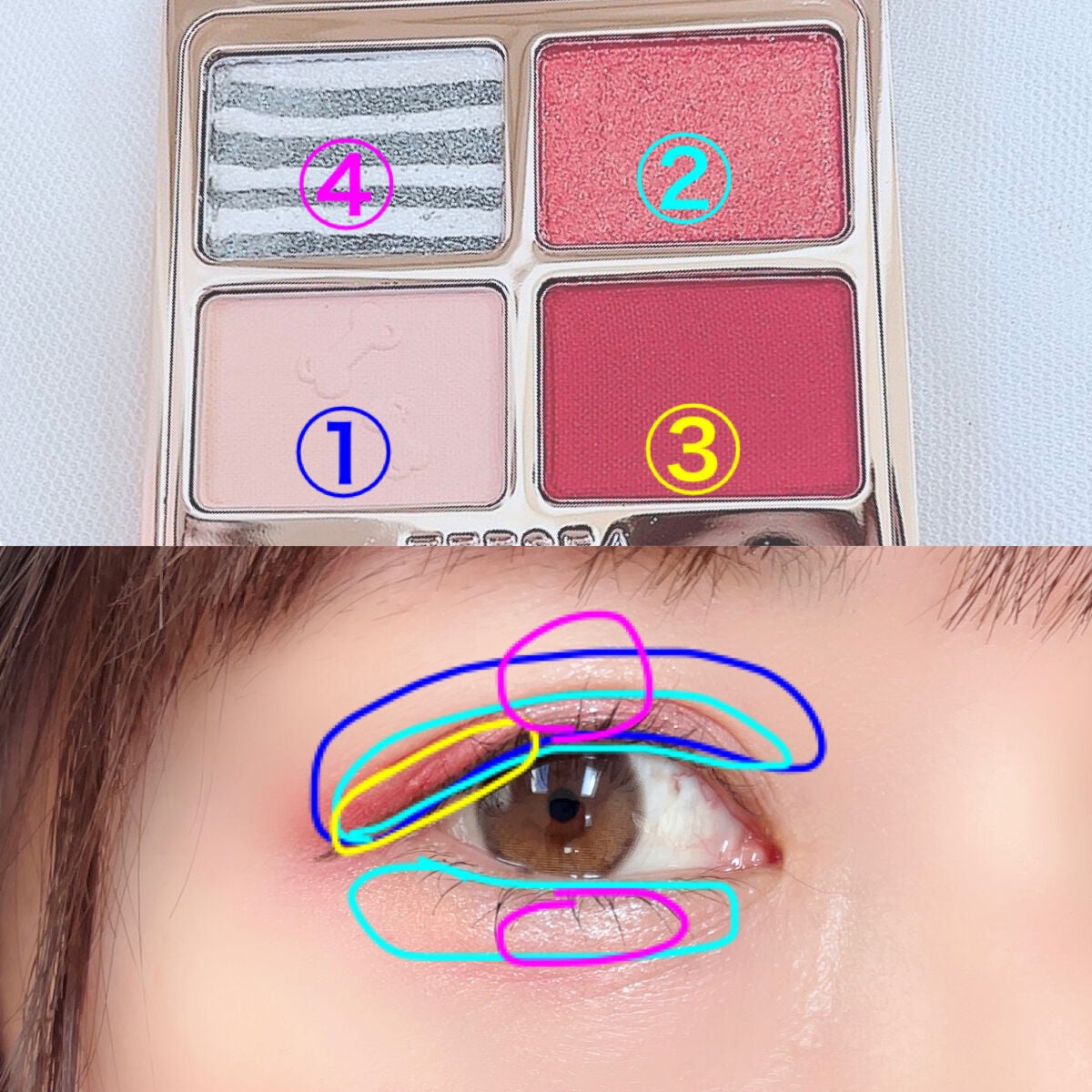 アニマルアイシャドウ(4シェード)/ZEESEA/アイシャドウパレットを使ったクチコミ(5枚目)