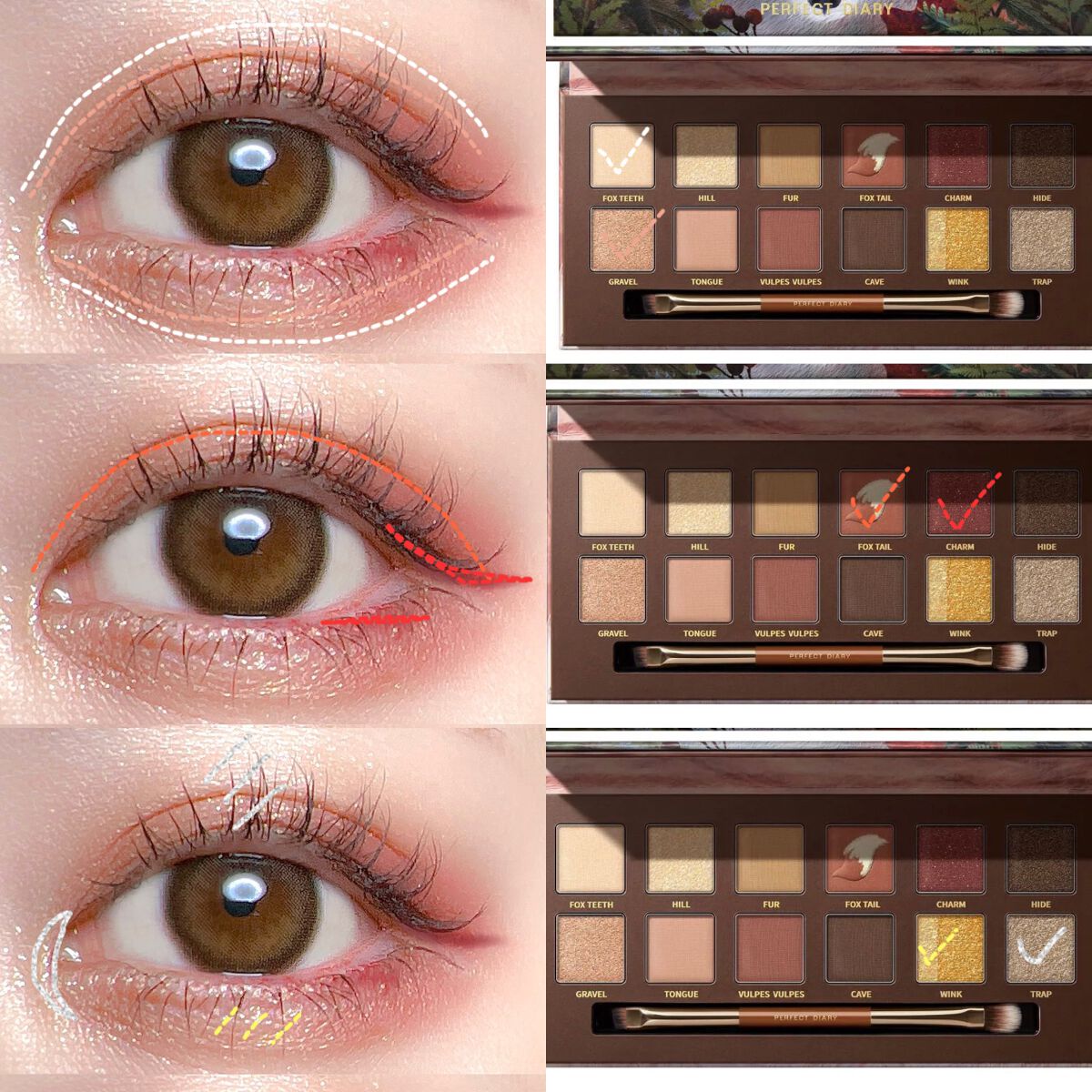 エクスプローラ12色 動物アイシャドウパレット/PERFECT DIARY/アイシャドウパレットを使ったクチコミ(6枚目)