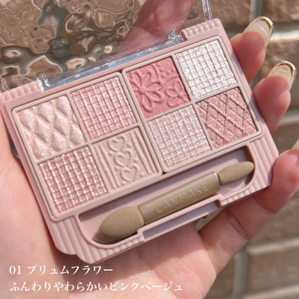 プティパレットアイズ/キャンメイク/パウダーアイシャドウを使ったクチコミ(3枚目)