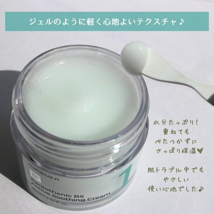 1番 塗るパントテン酸スージングクリーム/numbuzin/フェイスクリームを使ったクチコミ(2枚目)