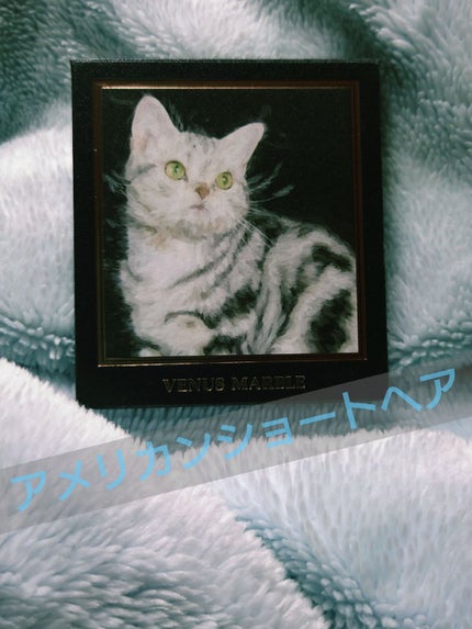 Venus Marble アイシャドウキャットシリーズ/Venus Marble/アイシャドウパレットを使ったクチコミ(1枚目)