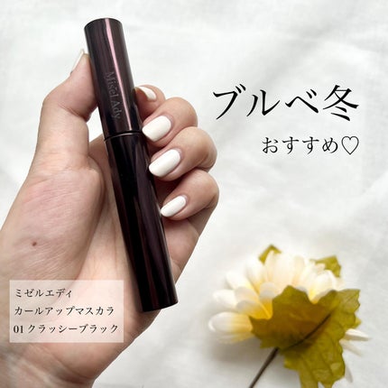 ミゼルエディ カールアップマスカラ/ミゼルエディ/マスカラを使ったクチコミ(1枚目)