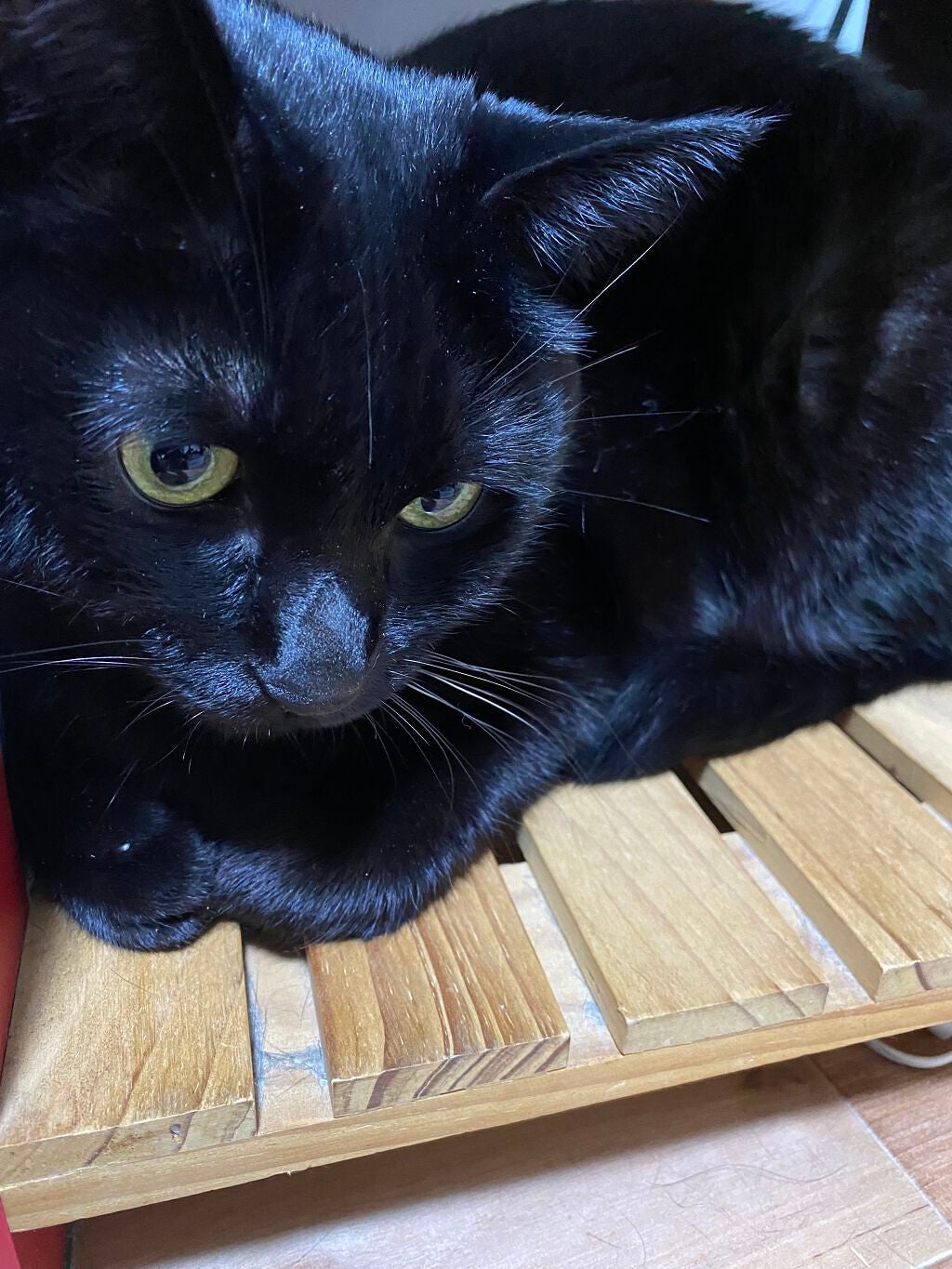 アイグロウ ジェム/DECORTÉ/ジェル・クリームアイシャドウを使ったクチコミ(9枚目)