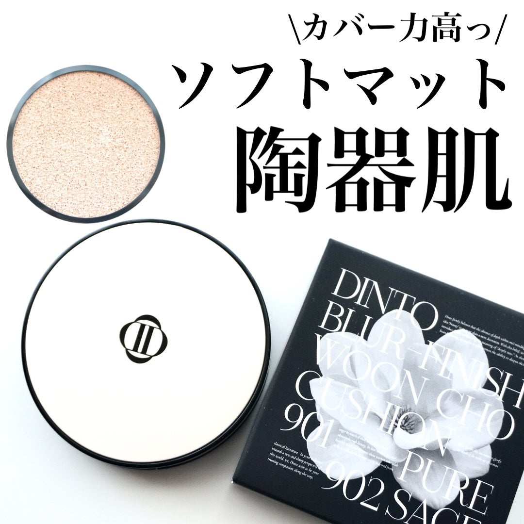 ブラーフィニッシュ雲楚クッション/Dinto/クッションファンデーションを使ったクチコミ(1枚目)