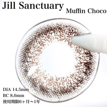 Sanctuary Muffin Grand チョコ/Jill/カラーコンタクトレンズを使ったクチコミ（2枚目）