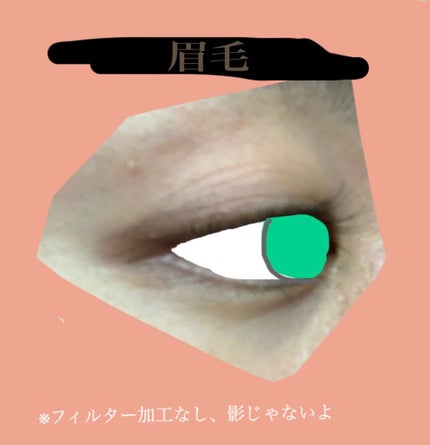 EMAKED(エマーキット)/水橋保寿堂製薬/まつげ美容液を使ったクチコミ(2枚目)