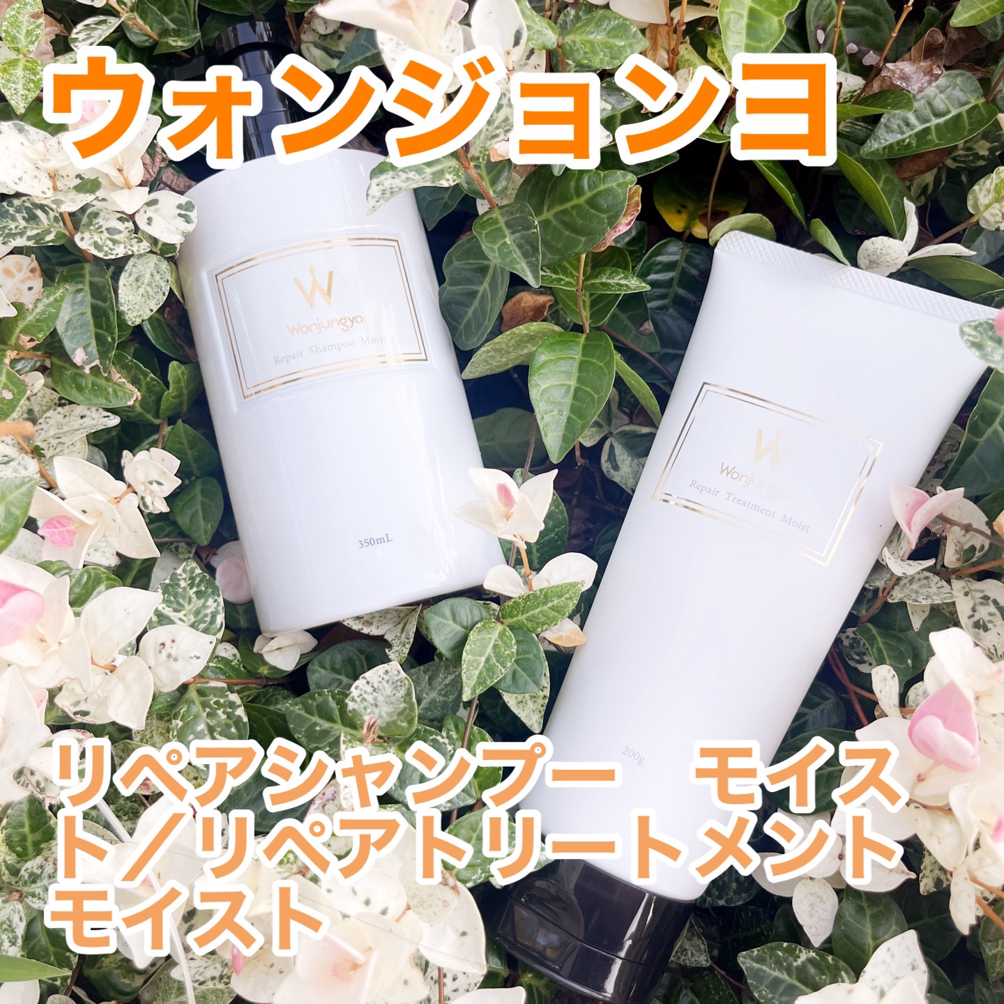 ウォンジョンヨ リペアシャンプー モイスト／リペアトリートメント モイスト リペアトリートメント モイスト/Wonjungyo/市販シャンプーを使ったクチコミ（1枚目）