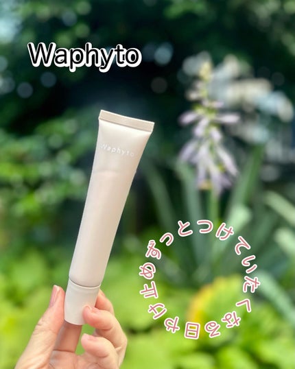 UVクリーム/Waphyto/日焼け止めクリームを使ったクチコミ(1枚目)