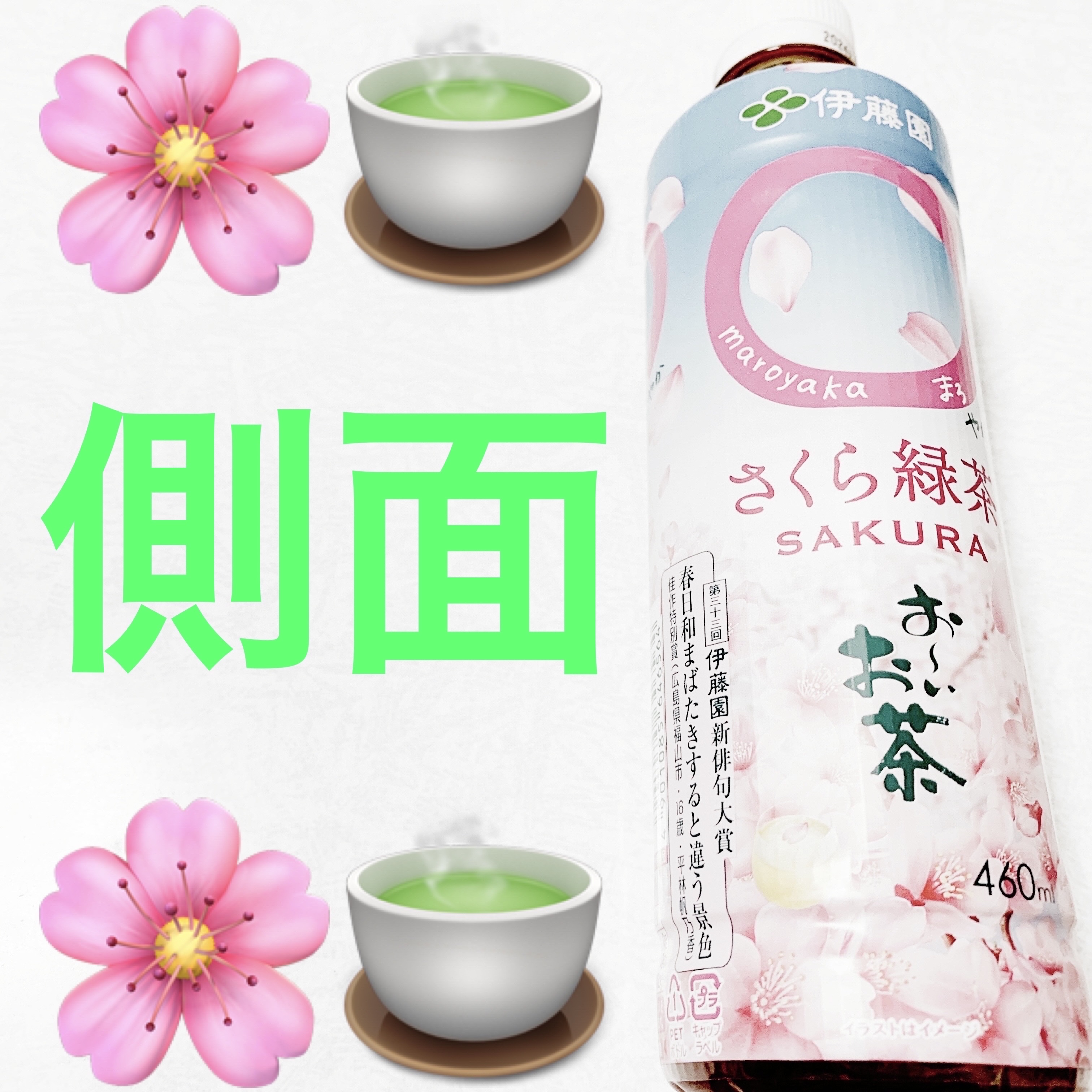 おーいお茶　◯（まろ）やか　さくら緑茶/伊藤園/美容ドリンクを使ったクチコミ（3枚目）