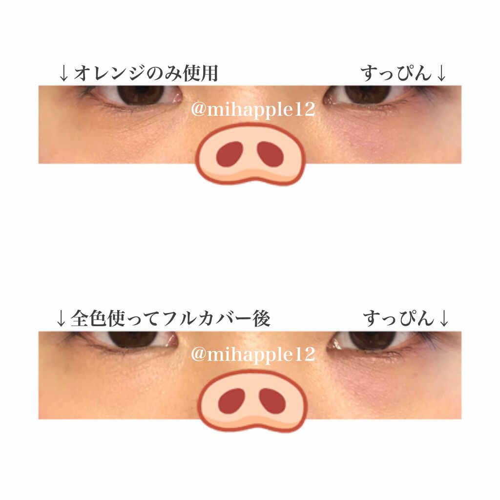 ミネラルコンシーラーパレット/エトヴォス/パレットコンシーラーを使ったクチコミ（2枚目）