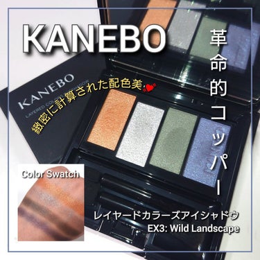 レイヤードカラーズアイシャドウ/KANEBO/アイシャドウパレットを使ったクチコミ（1枚目）