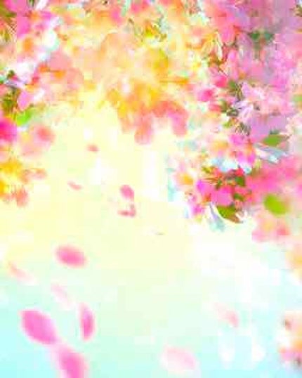 ã䜿ã£ãã¯ãã³ãïŒ1æç®ïŒ