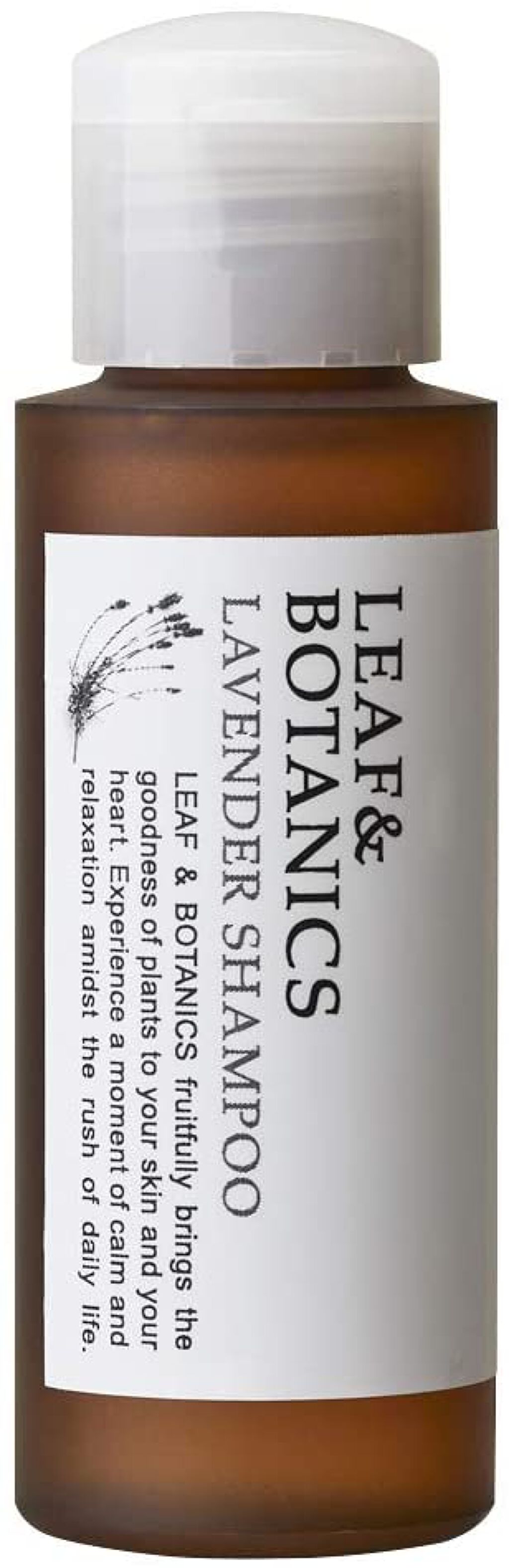 シャンプー／コンディショナー ラベンダー シャンプー 50ml