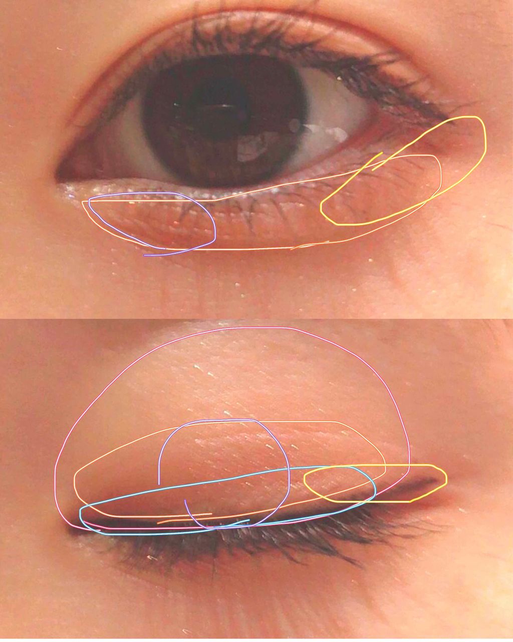 【旧品】パーフェクトスタイリストアイズ/キャンメイク/アイシャドウパレットを使ったクチコミ（2枚目）