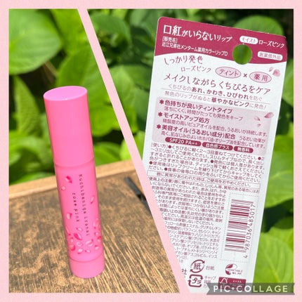 メンターム 口紅がいらない薬用モイストリップのクチコミ「こんにちは!
ご覧頂きありがとうございます❤︎
メンターム
口紅がいらないリップ SPF20.....」(3枚目)