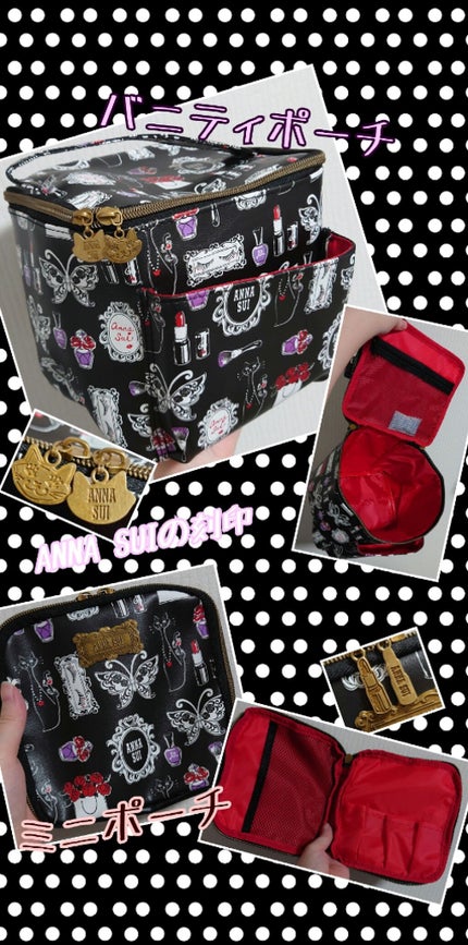 ANNASUI 2020 F/W COLLECTION BOOK VANITY POUCH BEAUTY BEAUTY/宝島社/雑誌を使ったクチコミ(2枚目)