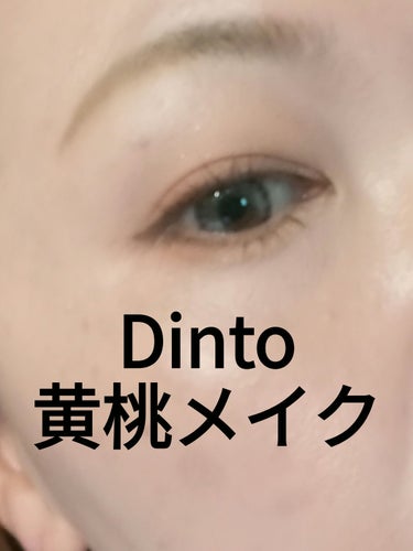 ブラーフィニシュシャドウパレット/Dinto/パウダーアイシャドウを使ったクチコミ（1枚目）